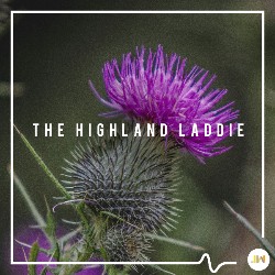 The Highland Laddie JW2353