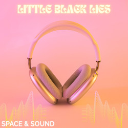 Show album SSMVOX031: Little Black Lies