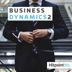 Business Dynamics 2 HPM4180